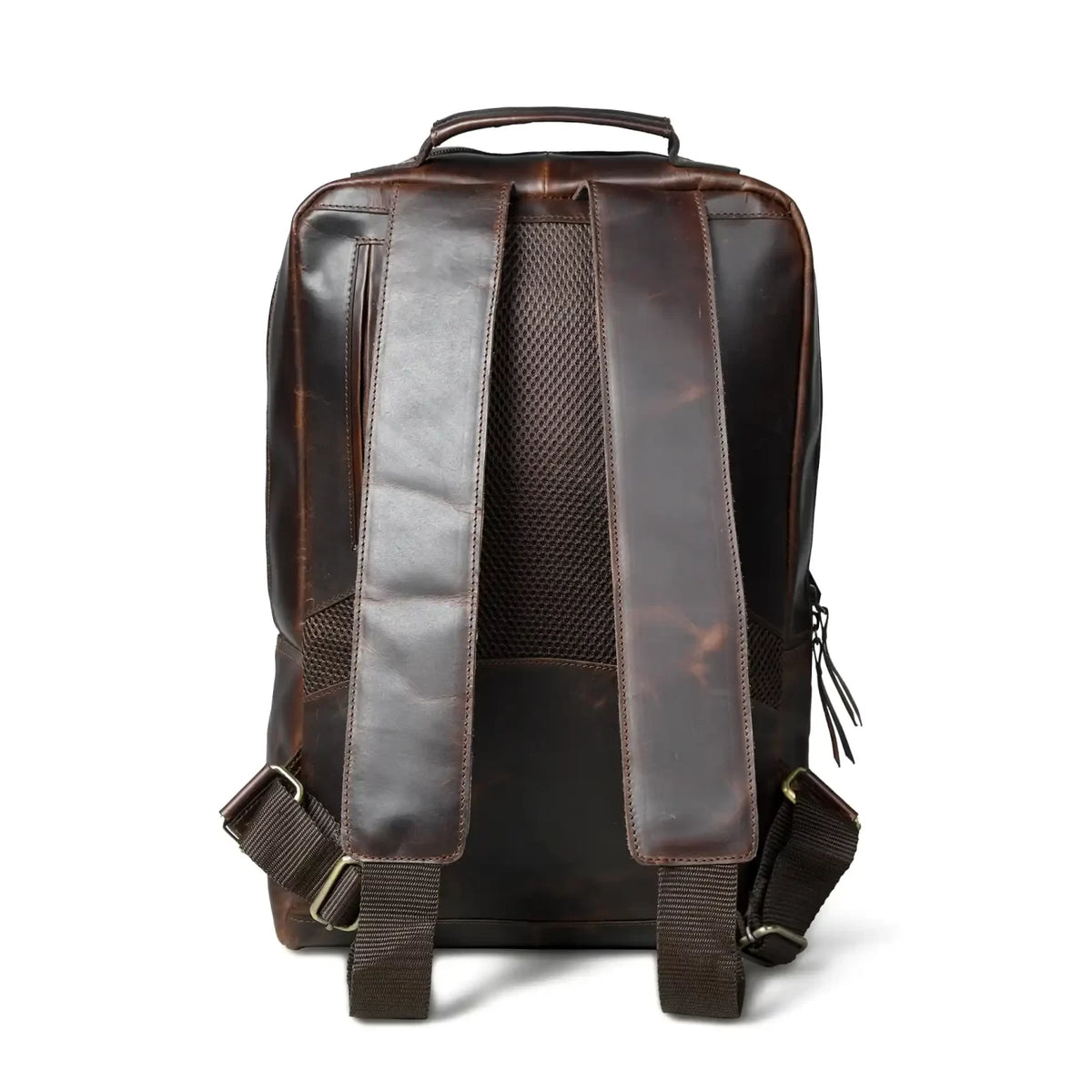 Back of the espresso leather backpack showing the padded mesh panel and straps